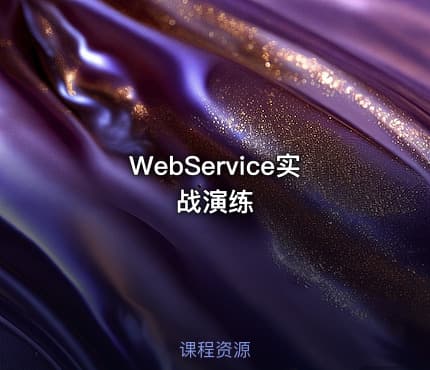 WebService实战演练