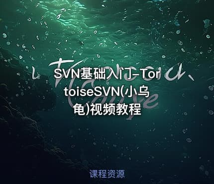 SVN基础入门-TortoiseSVN(小乌龟)视频教程