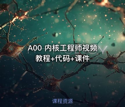 A00 内核工程师视频教程+代码+课件