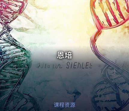 恩培