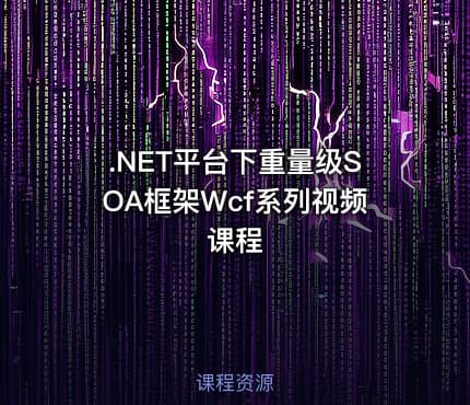 .NET平台下重量级SOA框架Wcf系列视频课程