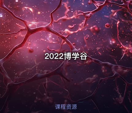 2022博学谷