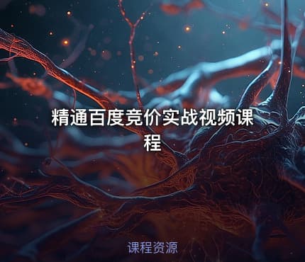 精通百度竞价实战视频课程