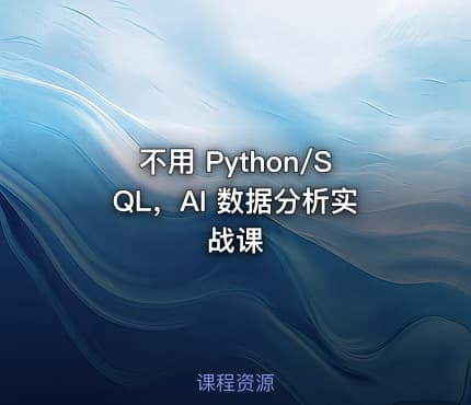 不用 Python/SQL，AI 数据分析实战课