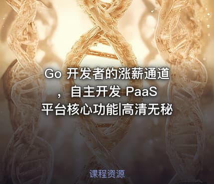 Go 开发者的涨薪通道，自主开发 PaaS 平台核心功能|高清无秘