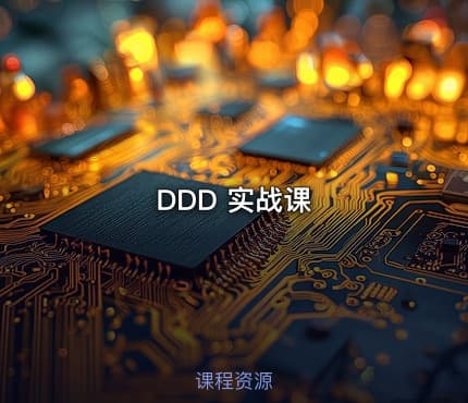 DDD 实战课