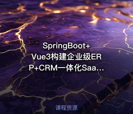 SpringBoot+Vue3构建企业级ERP+CRM一体化SaaS系统教程