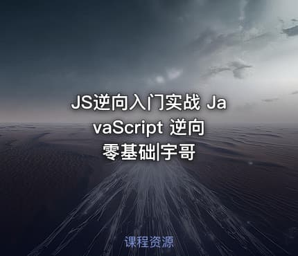 JS逆向入门实战 JavaScript 逆向零基础|宇哥