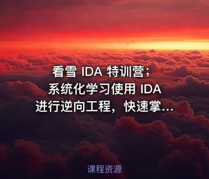 看雪 IDA 特训营；系统化学习使用 IDA 进行逆向工程，快速掌握 IDA 重要操作