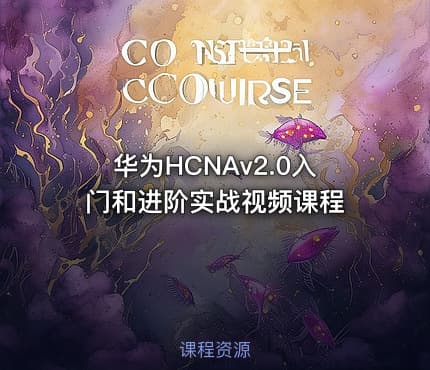 华为HCNAv2.0入门和进阶实战视频课程