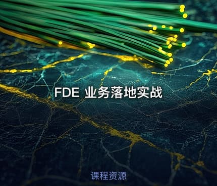 FDE 业务落地实战