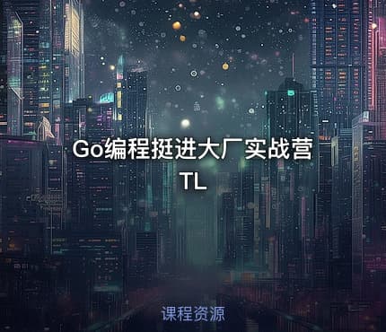 Go编程挺进大厂实战营 TL