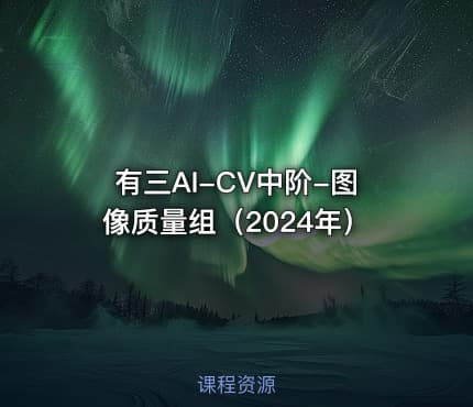 有三AI-CV中阶-图像质量组（2024年）