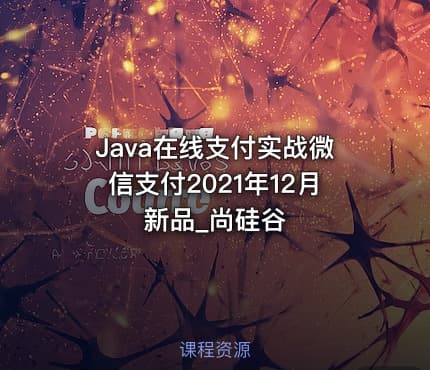 Java在线支付实战微信支付2021年12月新品_尚硅谷