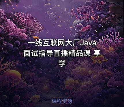 一线互联网大厂Java面试指导直播精品课 享学