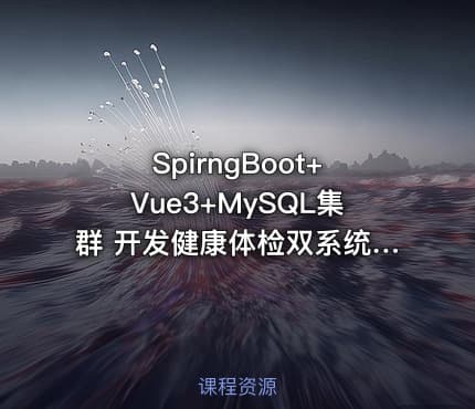 SpirngBoot+Vue3+MySQL集群 开发健康体检双系统|完结无秘