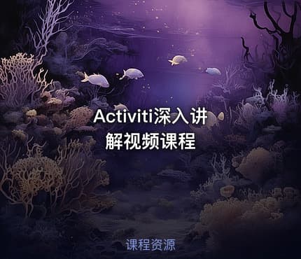 Activiti深入讲解视频课程