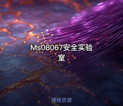 Ms08067安全实验室