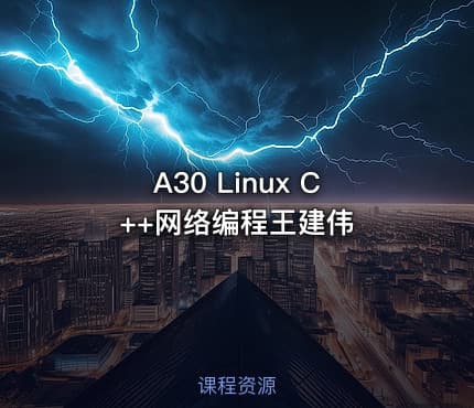 A30 Linux C++网络编程王建伟