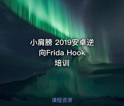小肩膀 2019安卓逆向Frida Hook培训