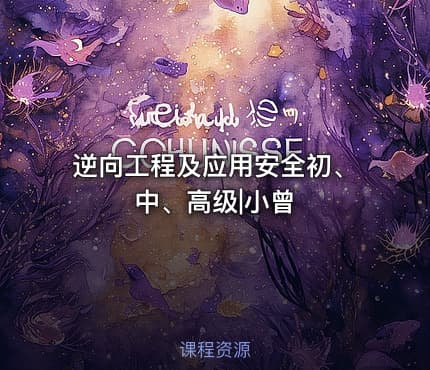逆向工程及应用安全初、中、高级|小曾