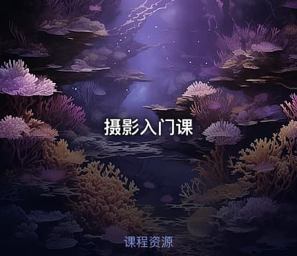 摄影入门课