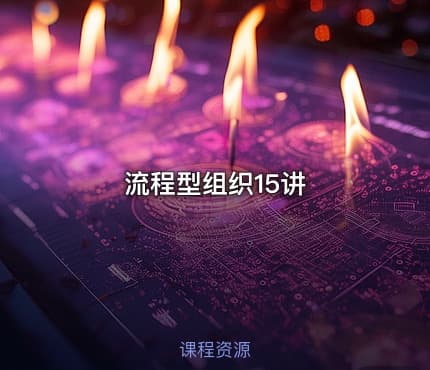流程型组织15讲