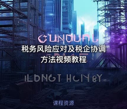 税务风险应对及税企协调方法视频教程