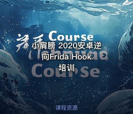 小肩膀 2020安卓逆向Frida Hook培训