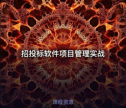 招投标软件项目管理实战