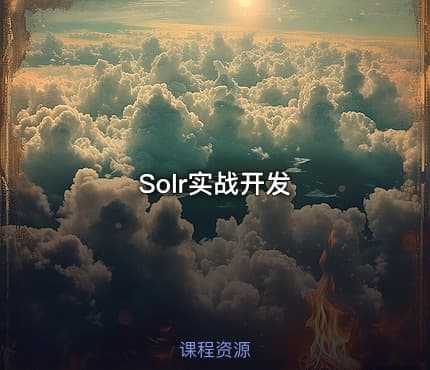 Solr实战开发