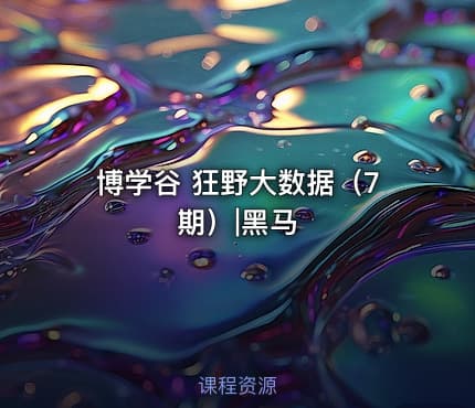 博学谷 狂野大数据（7期）|黑马