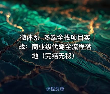微体系-多端全栈项目实战：商业级代驾全流程落地（完结无秘）