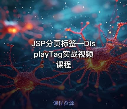 JSP分页标签—DisplayTag实战视频课程