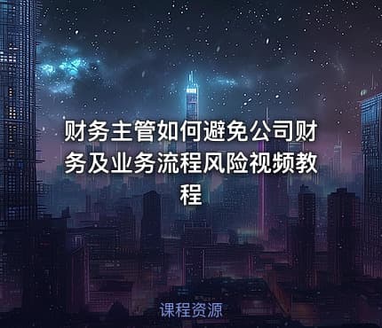 财务主管如何避免公司财务及业务流程风险视频教程