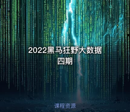2022黑马狂野大数据四期