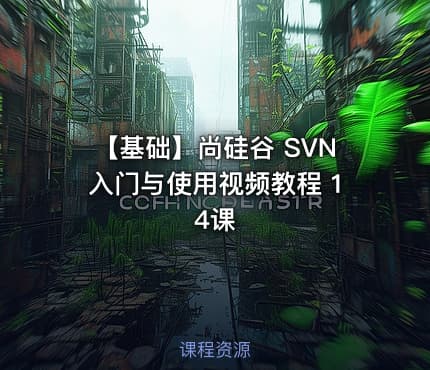 【基础】尚硅谷 SVN入门与使用视频教程 14课