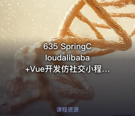 635 SpringCloudalibaba+Vue开发仿社交小程序 完整微服务实战项目