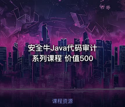 安全牛Java代码审计系列课程 价值500