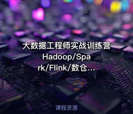 大数据工程师实战训练营 Hadoop/Spark/Flink/数仓等