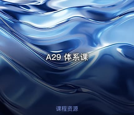 A29 体系课