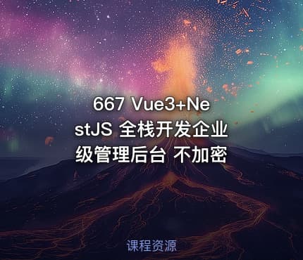 667 Vue3+NestJS 全栈开发企业级管理后台 不加密