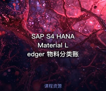 SAP S4 HANA Material Ledger 物料分类账