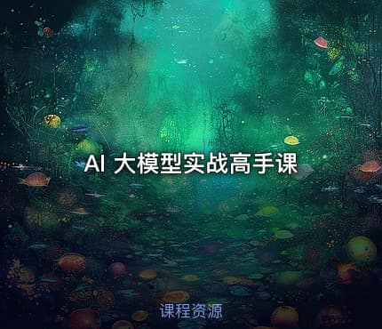 AI 大模型实战高手课