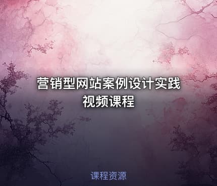 营销型网站案例设计实践视频课程