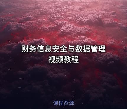 财务信息安全与数据管理视频教程