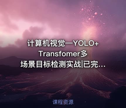 计算机视觉—YOLO+Transfomer多场景目标检测实战|已完结