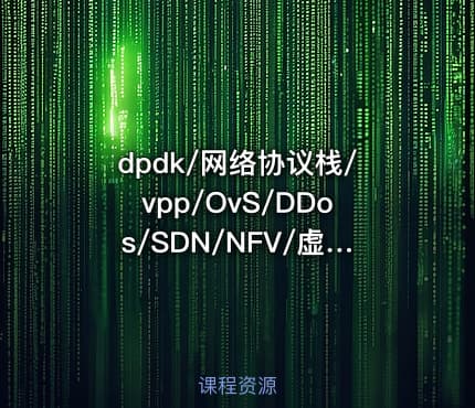dpdk/网络协议栈/vpp/OvS/DDos/SDN/NFV/虚拟化/高性能专家之路|零声