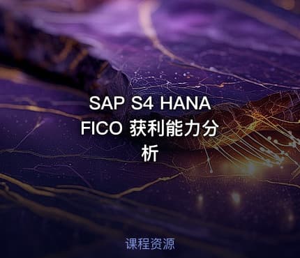 SAP S4 HANA FICO 获利能力分析