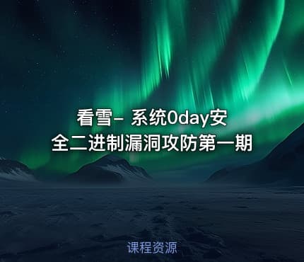 看雪- 系统0day安全二进制漏洞攻防第一期